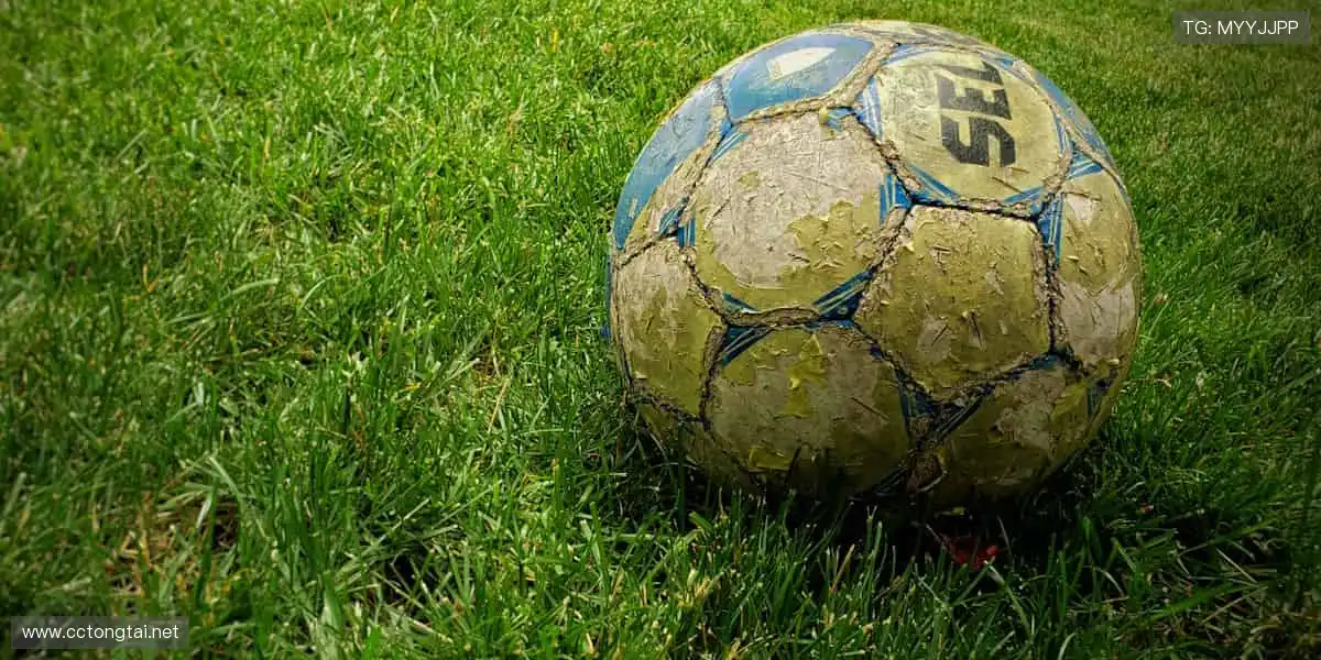 📱弹幕狂欢，实时互动！⚡️